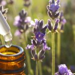 Come alleviare il mal di testa con l’olio essenziale di lavanda o di menta