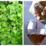 Vino di prezzemolo: rimedio per le palpitazioni cardiache, bassa pressione e altre affezioni del cuore (ricetta e modalità di somministrazione)