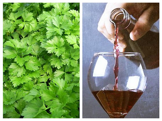 Vino di prezzemolo: rimedio per le palpitazioni cardiache, bassa pressione e altre affezioni del cuore (ricetta e modalità di somministrazione)