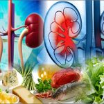 I migliori alimenti per la salute dei reni + quali alimenti evitare