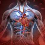 Ricetta ideale per ottenere la salute del sangue e del cuore: tecniche e alimenti benefici