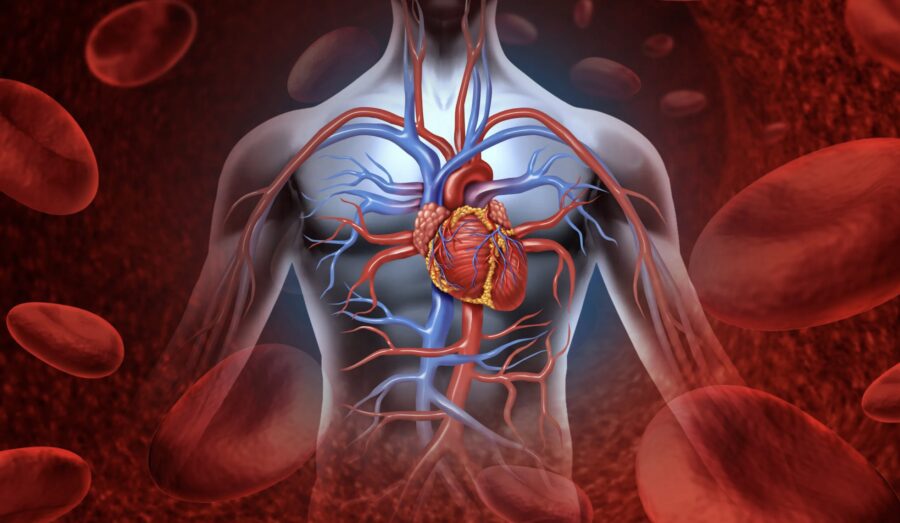 Ricetta ideale per ottenere la salute del sangue e del cuore: tecniche e alimenti benefici