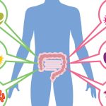 Sindrome dell’intestino permeabile: cos’è, quali sono le cause e come possiamo trattarlo