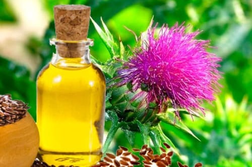 Olio di cardo mariano: elisir per fegato, pelle e disintossicazione. Ricette e modi d’uso