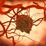 Scienziati: Questi frutti possono uccidere le cellule cancerose