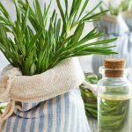 Aceto di rosmarino e aglio: tonico per cuoio capelluto e circolazione