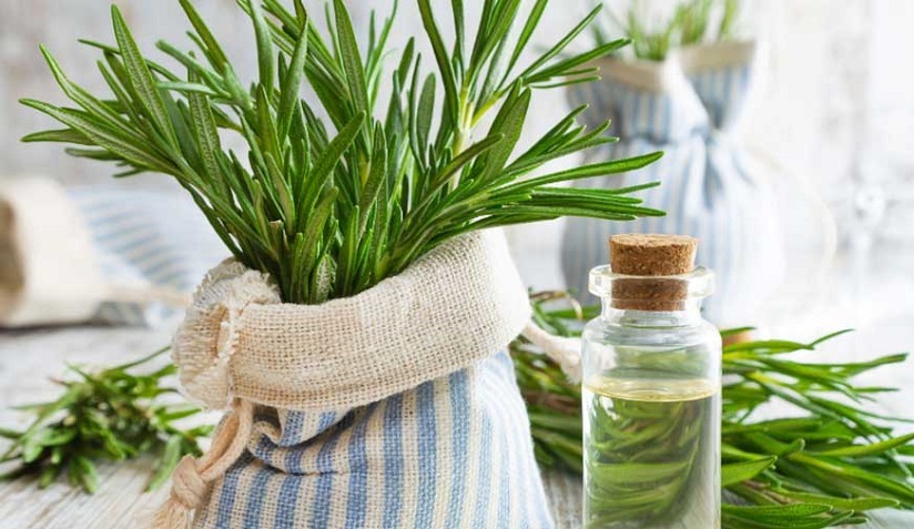 Aceto di rosmarino e aglio: tonico per cuoio capelluto e circolazione