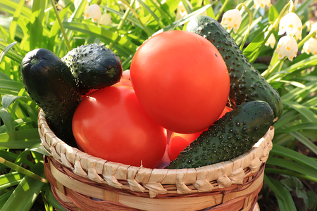 Le 8 migliori verdure da consumare in estate + i loro benefici
