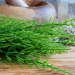 Equiseto: La pianta che sostiene la salute della pelle, delle unghie, dei capelli e delle articolazioni: come utilizzarla e quali sono i potenziali effetti collaterali