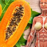 Papaya, il frutto degli angeli che si prende cura di molti aspetti della nostra salute