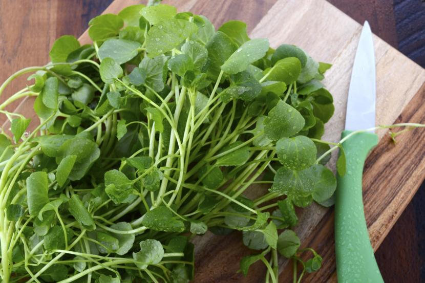 Il Crescione (Nasturtium officinale): esplosione di nutrienti e benefici impressionanti, come includerlo nella dieta