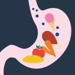 Infuso di semi di fieno greco che accelera la digestione e regola la glicemia, raccomandato da medici nutrizionisti