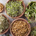 Perché è bene consumare germogli: 7 benefici considerevoli per la salute