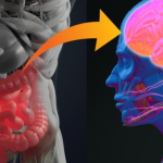 Il legame tra intestino e cervello: cos’è e come ti influenza