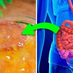 I 8 migliori lassativi: sbarazzati della stitichezza con rimedi naturali