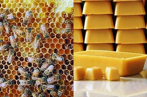 La cera d’api un prodotto molto utile per la salute