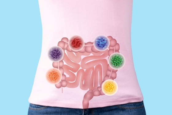 Il frutto antiossidante che mantiene l’intestino pulito e il colon sano
