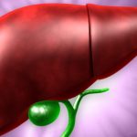 Combinazione di piante per la vescica biliare lenta testata clinicamente