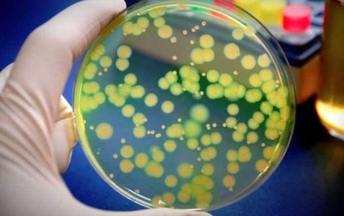 10 rimedi naturali per liberarsi di un’infezione da stafilococco + cause e sintomi