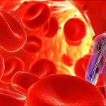 15 alimenti per ridurre e controllare naturalmente la pressione arteriosa alta