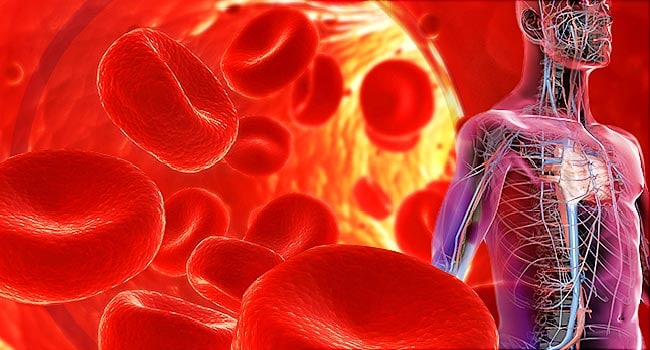 15 alimenti per ridurre e controllare naturalmente la pressione arteriosa alta