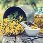 La pianta del buon umore: Rimedio naturale per depressione e insonnia. Scopri come trarre vantaggio dalle sue proprietà terapeutiche!