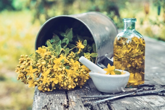 La pianta del buon umore: Rimedio naturale per depressione e insonnia. Scopri come trarre vantaggio dalle sue proprietà terapeutiche!