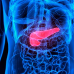 I benefici delle enzimi pancreatiche per la salute intestinale e immunitaria: fonti alimentari e consigli pratici