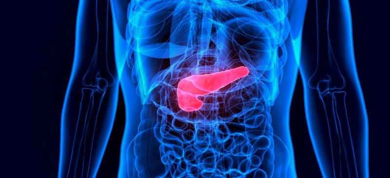 I benefici delle enzimi pancreatiche per la salute intestinale e immunitaria: fonti alimentari e consigli pratici