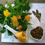Ppdia detoxificante naturale per fegato, bile e pelle (modi di utilizzo e ricette popolari)