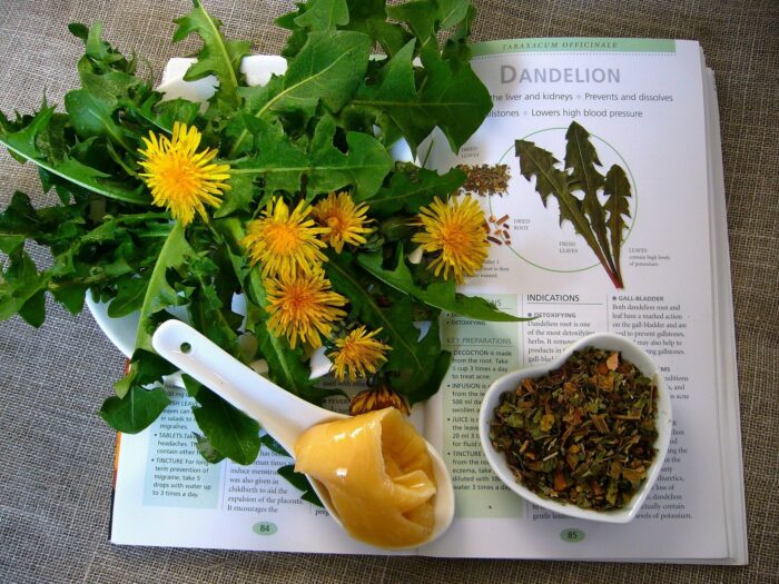 Ppdia detoxificante naturale per fegato, bile e pelle (modi di utilizzo e ricette popolari)