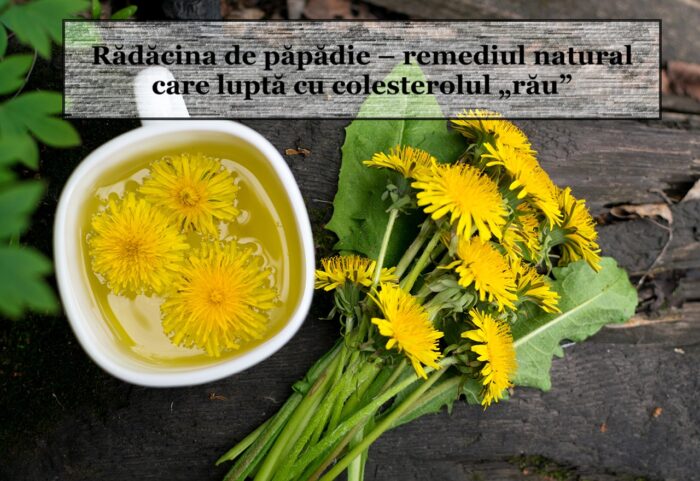 La radice di tarassaco: il rimedio naturale che combatte il colesterolo