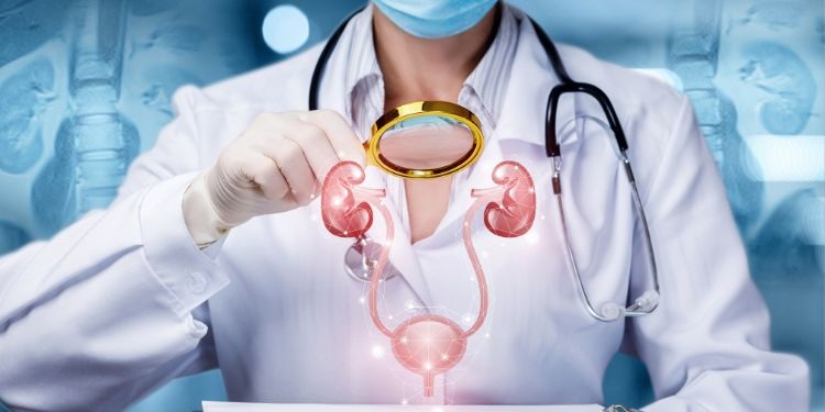 Il tè che riduce l’infiammazione della vescica urinaria usato da generazioni