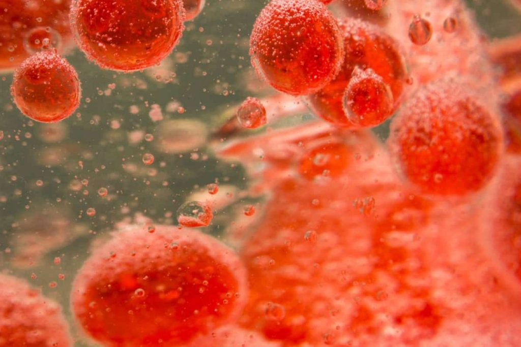 5 alimenti che aiutano a sciogliere naturalmente i coaguli di sangue