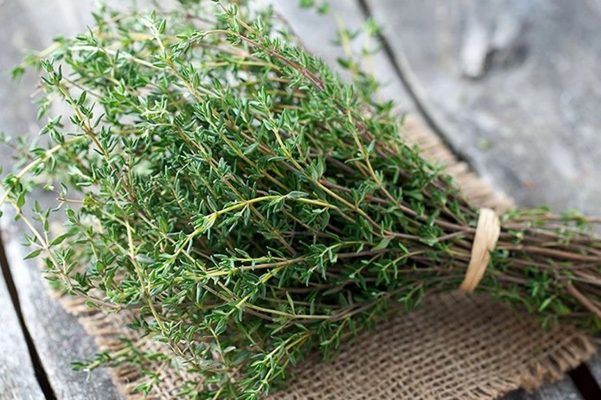 Il Timo: il rimedio naturale per il mal di gola, il cuore e l’ansia