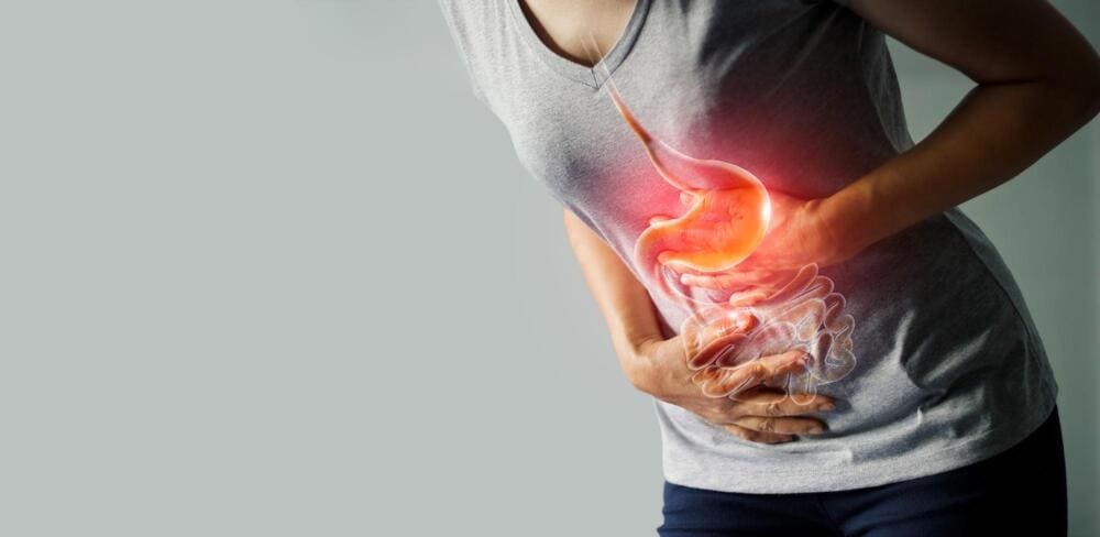 10 piante medicinali più benefiche per lo stomaco: tratta qualsiasi disagio con il loro aiuto