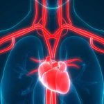 Ricette e consigli per la pulizia delle arterie e il mantenimento della salute del cuore