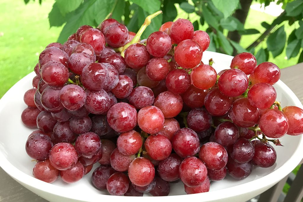 Uva rossa: il medicinale dell’autunno e il profilo nutrizionale