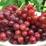 Uva rossa: il medicinale dell’autunno e il profilo nutrizionale