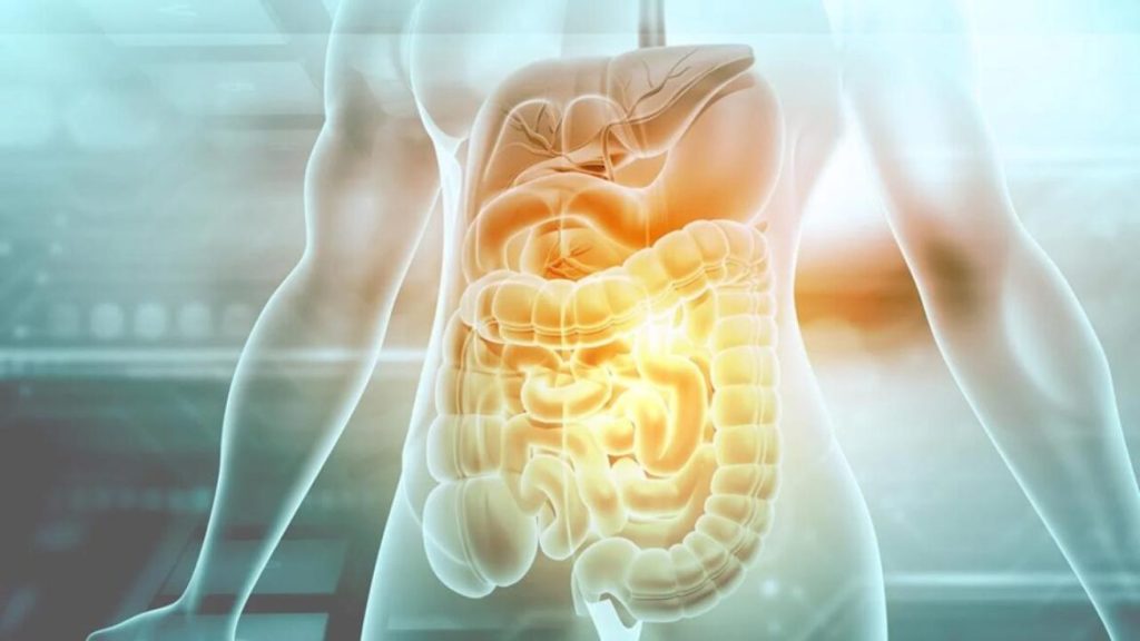 7 tè che possono cambiare la tua digestione: consumo e precauzioni