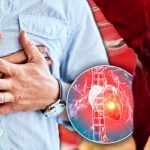 Le migliori piante per la salute del cuore e della circolazione (ricette e modalità di consumo)