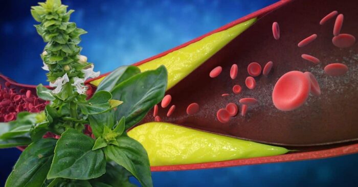 Curare naturale pentru arterele sănătoase: 10 plante medicinale pentru o inimă sănătoasă