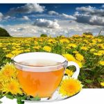 5 ricette con tarassaco per la disintossicazione primaverile: Benefici per ogni parte