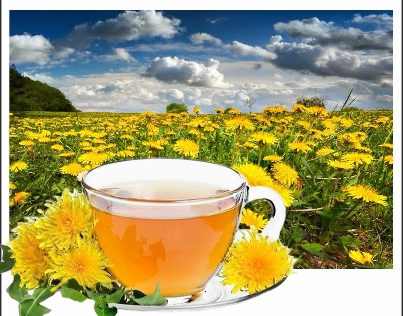 5 ricette con tarassaco per la disintossicazione primaverile: Benefici per ogni parte