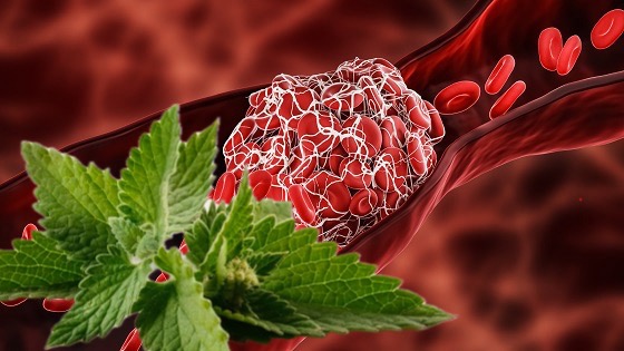 I migliori tè che aiutano a fluidificare il sangue in modo naturale