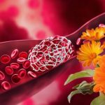 Pianta con proprietà anticoagulanti: Protezione naturale contro i coaguli