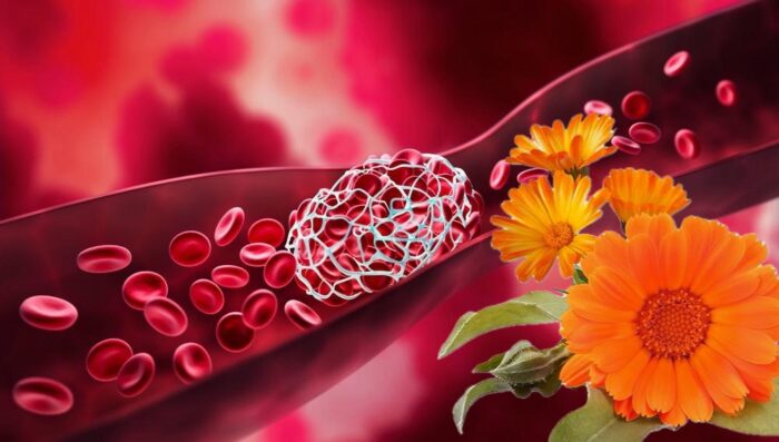 Pianta con proprietà anticoagulanti: Protezione naturale contro i coaguli