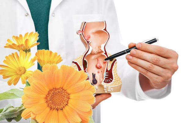 Calendula e emorroidi: il rimedio naturale che calma e guarisce