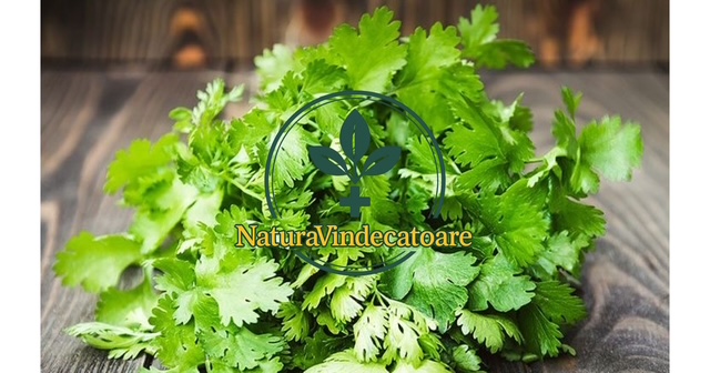 Come utilizzare le foglie di prezzemolo per i reni