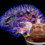 Tisane e tinture che migliorano la concentrazione e la memoria (ricette e consumo)